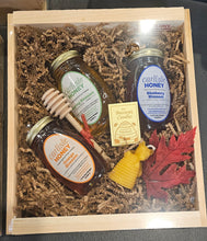 Honey Gift Baskets By Carlisle Honey – The Colony MA | Honey Bees