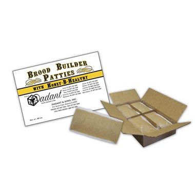 Brood Builder Patties – The Colony MA | Honey Bees Mead & More